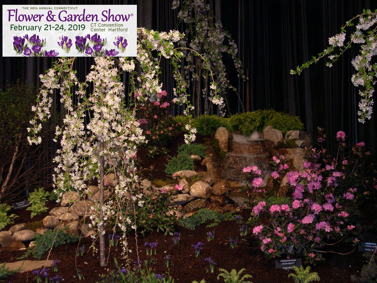 38th annual ct flower & garden show | lite 100.5 wrch